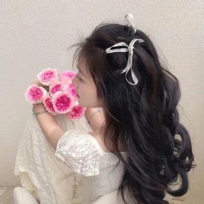 红色尾翼
